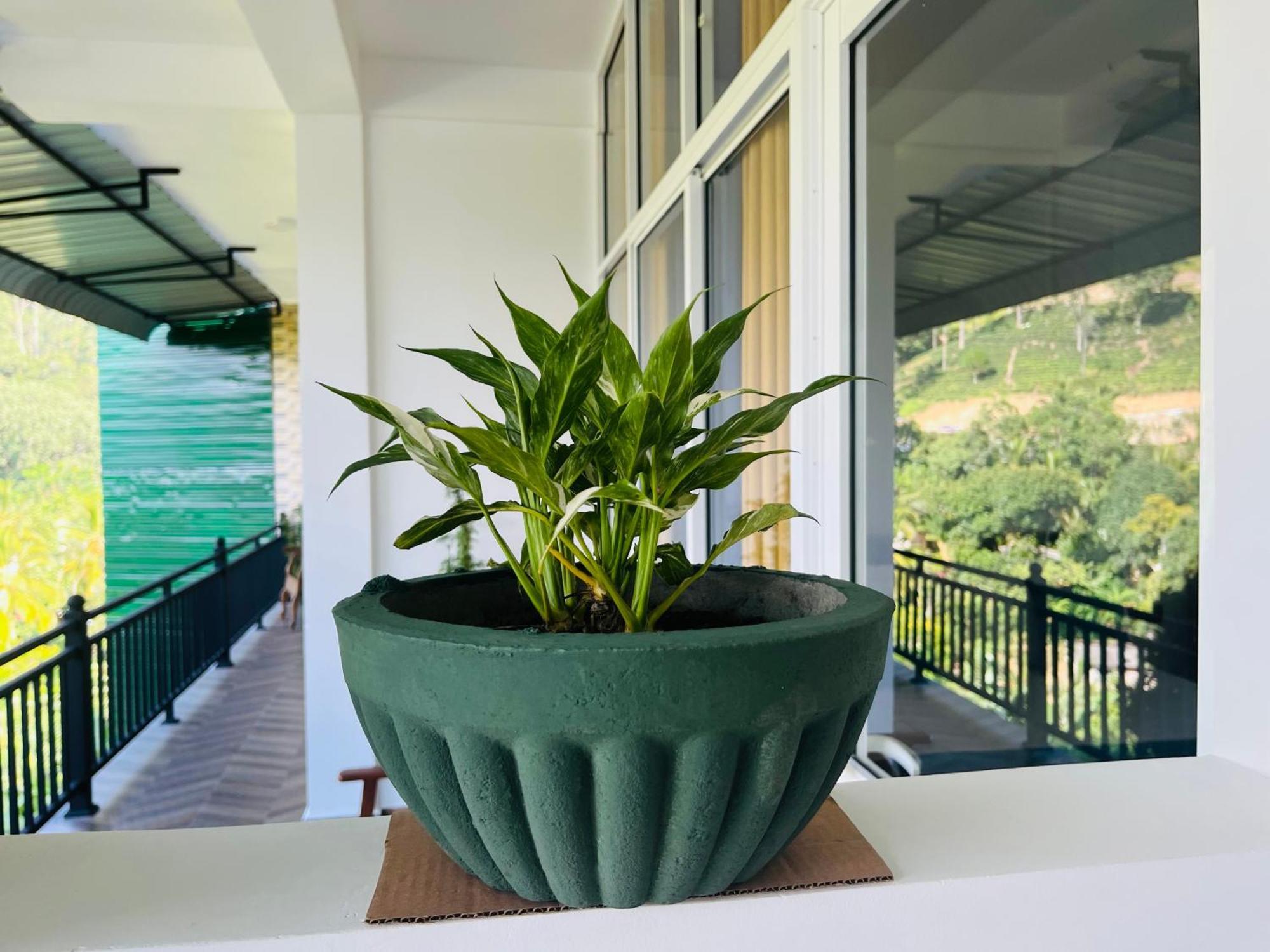 Viyanga Homestay Procida Dış mekan fotoğraf